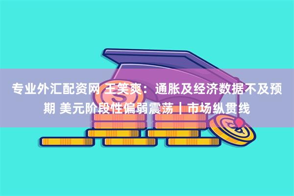 专业外汇配资网 王笑爽：通胀及经济数据不及预期 美元阶段性偏弱震荡｜市场纵贯线