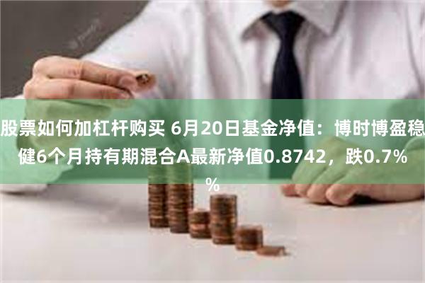 股票如何加杠杆购买 6月20日基金净值：博时博盈稳健6个月持有期混合A最新净值0.8742，跌0.7%