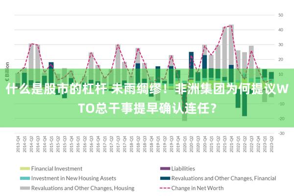 什么是股市的杠杆 未雨绸缪！非洲集团为何提议WTO总干事提早确认连任？