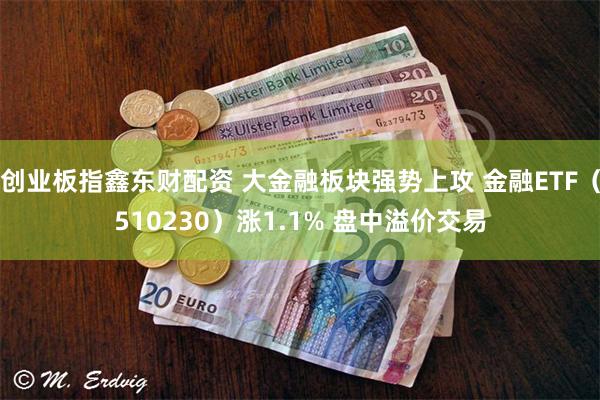 创业板指鑫东财配资 大金融板块强势上攻 金融ETF（510230）涨1.1% 盘中溢价交易