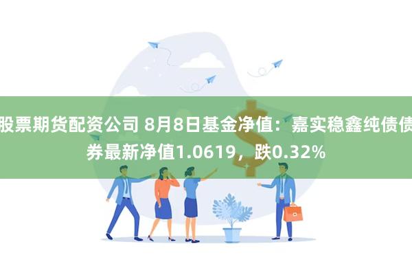 股票期货配资公司 8月8日基金净值：嘉实稳鑫纯债债券最新净值1.0619，跌0.32%