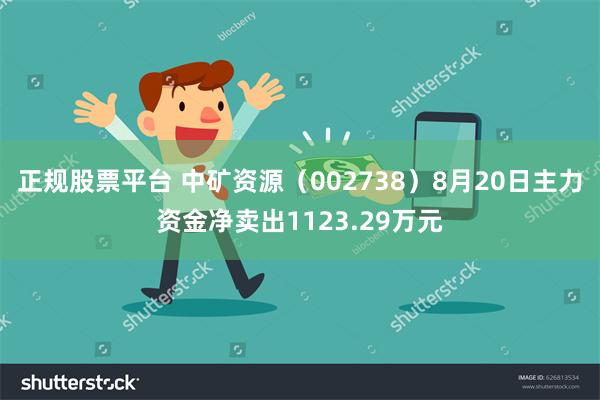 正规股票平台 中矿资源（002738）8月20日主力资金净卖出1123.29万元