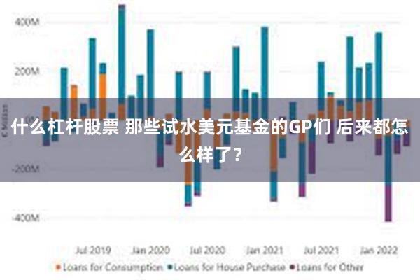 什么杠杆股票 那些试水美元基金的GP们 后来都怎么样了？