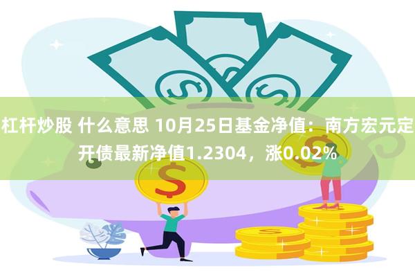 杠杆炒股 什么意思 10月25日基金净值：南方宏元定开债最新净值1.2304，涨0.02%