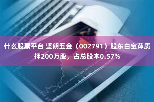 什么股票平台 坚朗五金（002791）股东白宝萍质押200万股，占总股本0.57%