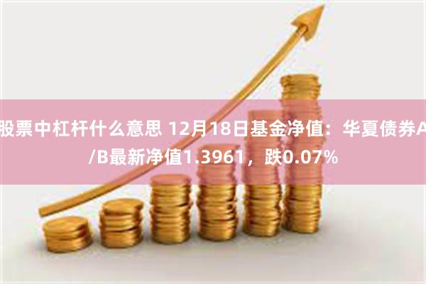 股票中杠杆什么意思 12月18日基金净值：华夏债券A/B最新净值1.3961，跌0.07%