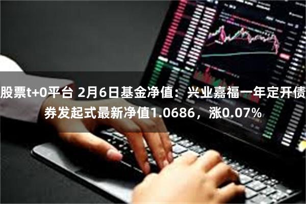 股票t+0平台 2月6日基金净值：兴业嘉福一年定开债券发起式最新净值1.0686，涨0.07%