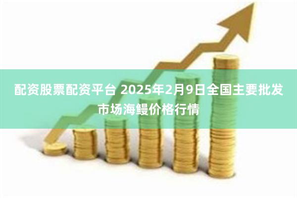 配资股票配资平台 2025年2月9日全国主要批发市场海鳗价格行情